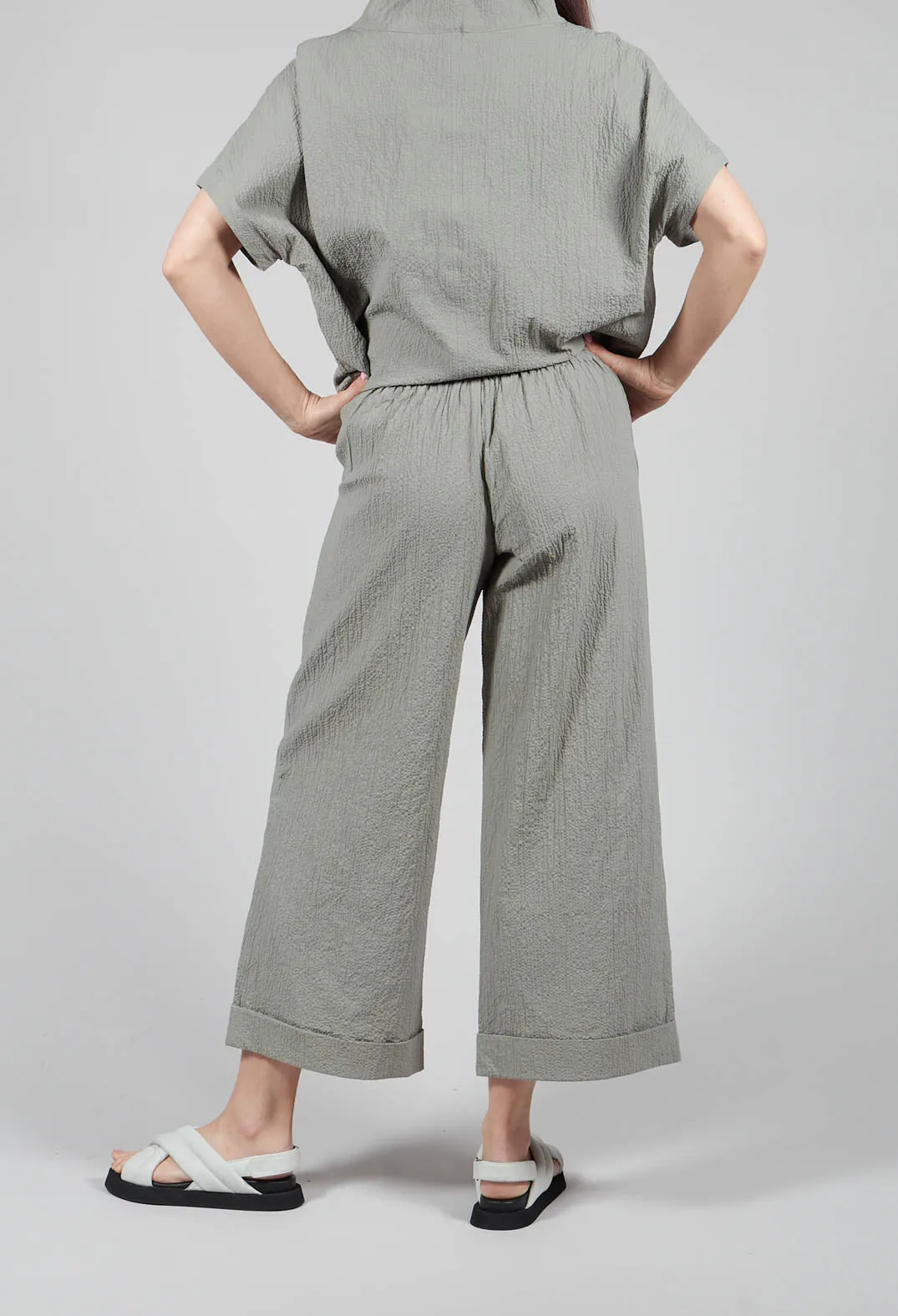 Anasy Trousers in Eucalyptus